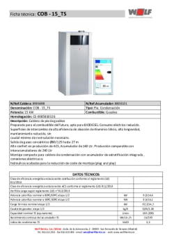 COB - 15_TS.pdf