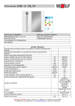 COB - 2 - 29_TS.pdf