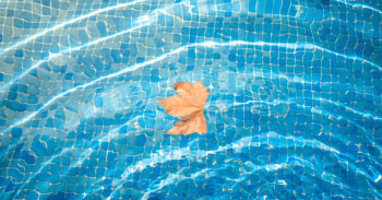 ¿Cómo se realiza el Invernaje de una Piscina? Toda nuestra gama de Hibernadores Online